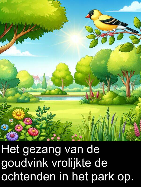 gezang: Het gezang van de goudvink vrolijkte de ochtenden in het park op.