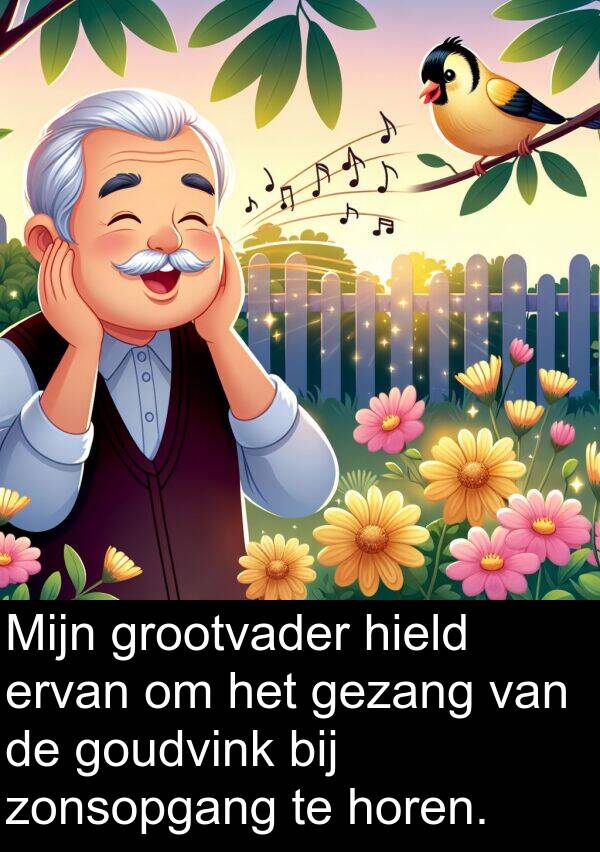 grootvader: Mijn grootvader hield ervan om het gezang van de goudvink bij zonsopgang te horen.