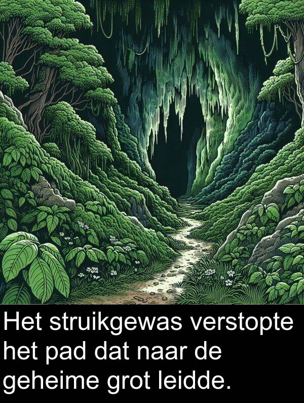 grot: Het struikgewas verstopte het pad dat naar de geheime grot leidde.