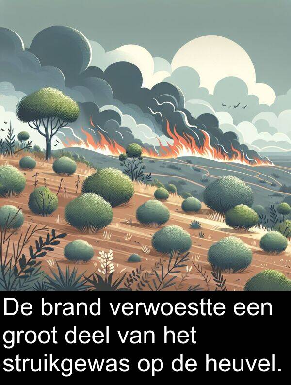 groot: De brand verwoestte een groot deel van het struikgewas op de heuvel.