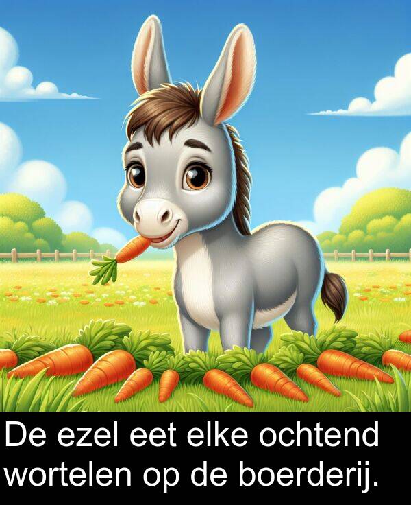 elke: De ezel eet elke ochtend wortelen op de boerderij.