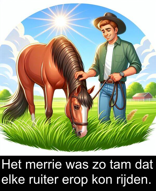 erop: Het merrie was zo tam dat elke ruiter erop kon rijden.