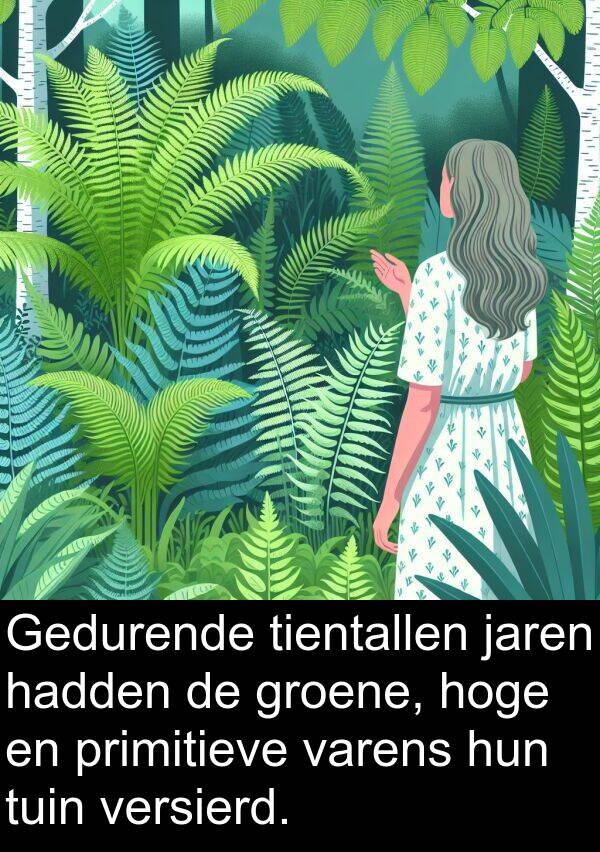 groene: Gedurende tientallen jaren hadden de groene, hoge en primitieve varens hun tuin versierd.