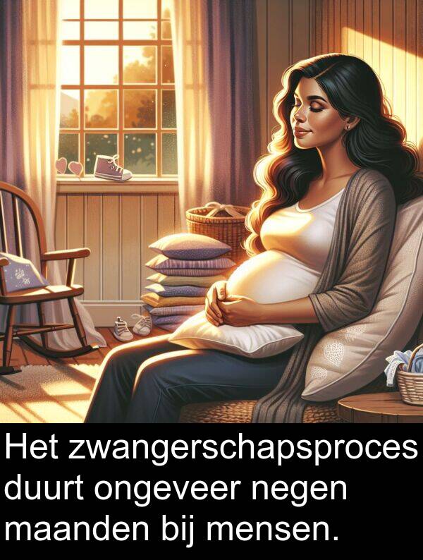 duurt: Het zwangerschapsproces duurt ongeveer negen maanden bij mensen.