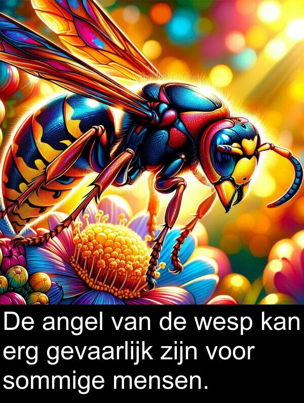 gevaarlijk: De angel van de wesp kan erg gevaarlijk zijn voor sommige mensen.