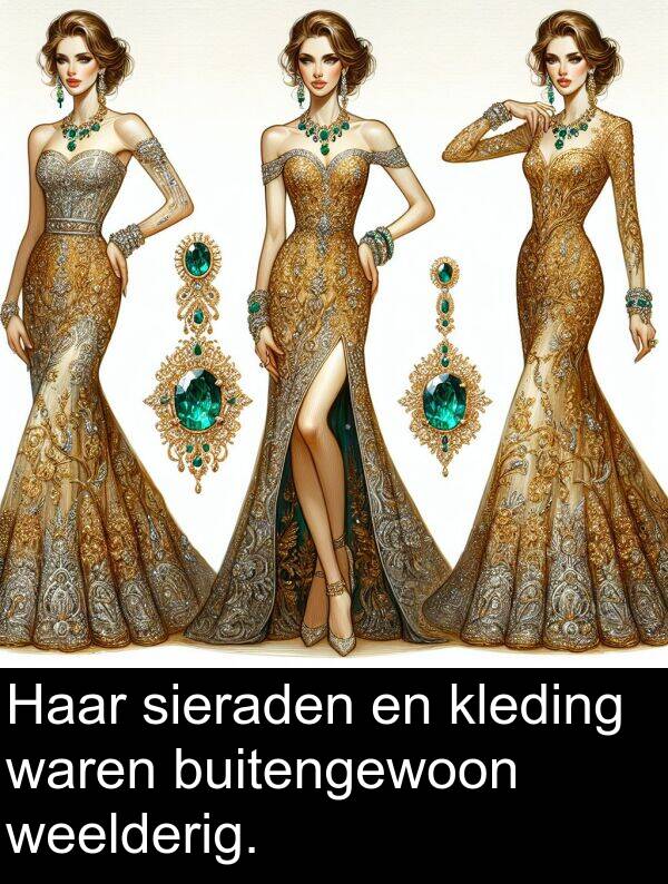 buitengewoon: Haar sieraden en kleding waren buitengewoon weelderig.
