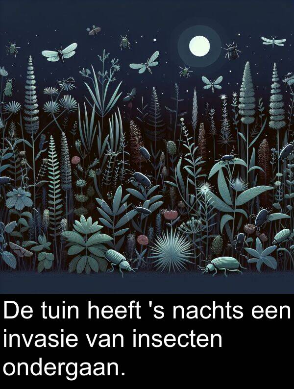 tuin: De tuin heeft 's nachts een invasie van insecten ondergaan.