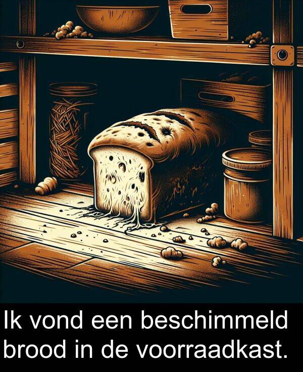 vond: Ik vond een beschimmeld brood in de voorraadkast.