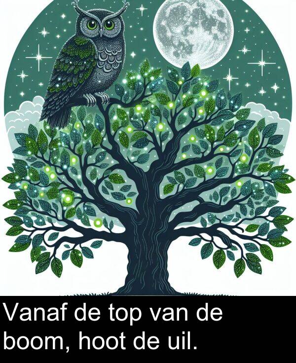 van: Vanaf de top van de boom, hoot de uil.