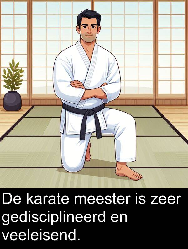 veeleisend: De karate meester is zeer gedisciplineerd en veeleisend.