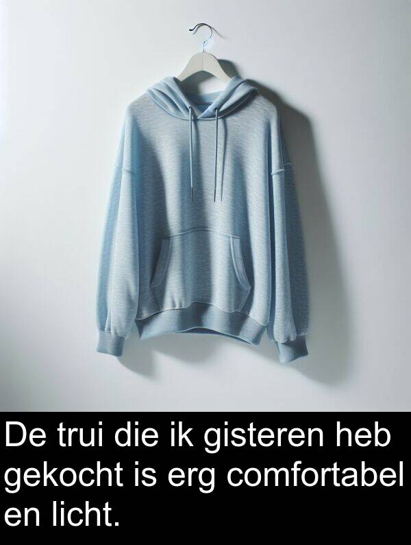 gekocht: De trui die ik gisteren heb gekocht is erg comfortabel en licht.