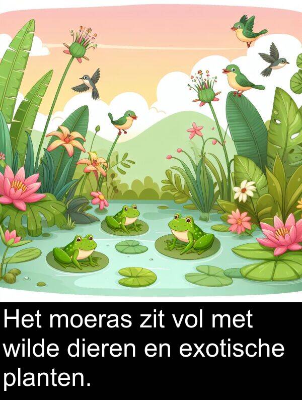 zit: Het moeras zit vol met wilde dieren en exotische planten.