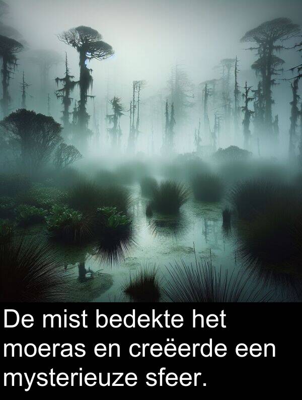 sfeer: De mist bedekte het moeras en creëerde een mysterieuze sfeer.