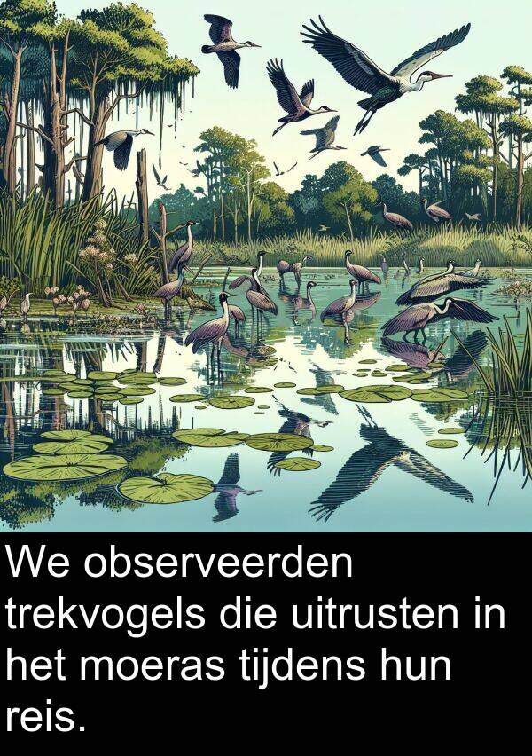 tijdens: We observeerden trekvogels die uitrusten in het moeras tijdens hun reis.
