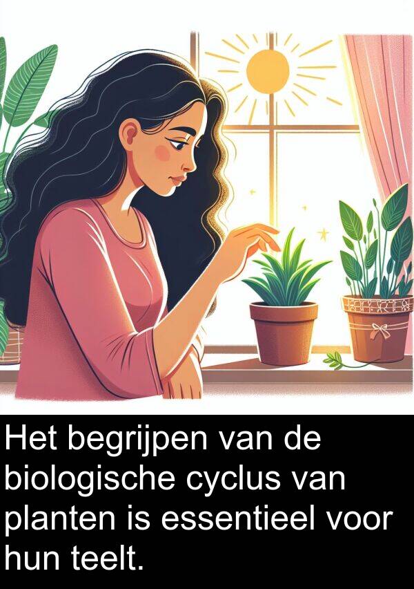 planten: Het begrijpen van de biologische cyclus van planten is essentieel voor hun teelt.
