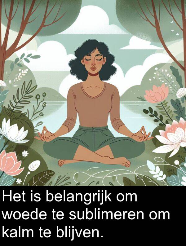 belangrijk: Het is belangrijk om woede te sublimeren om kalm te blijven.