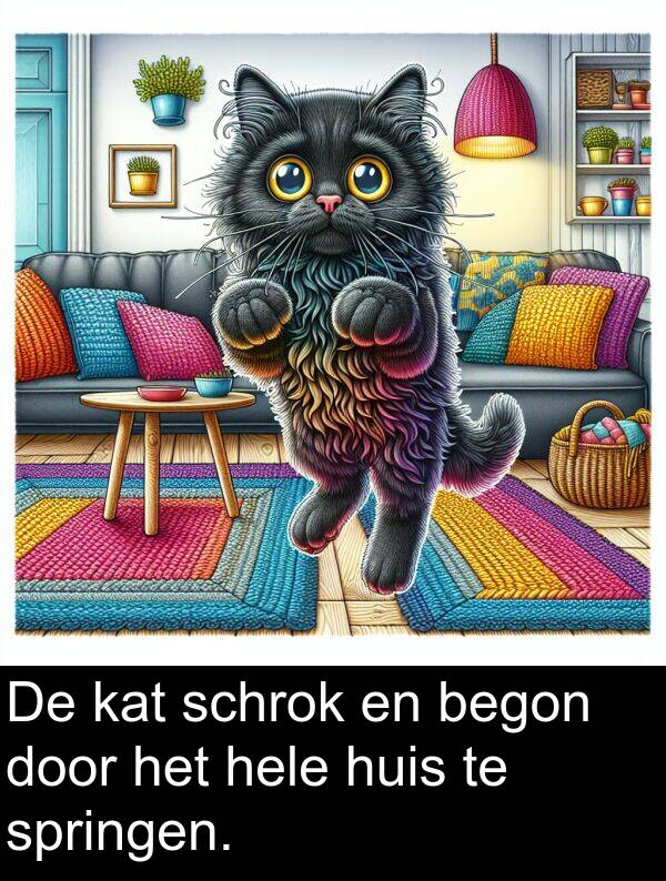 door: De kat schrok en begon door het hele huis te springen.