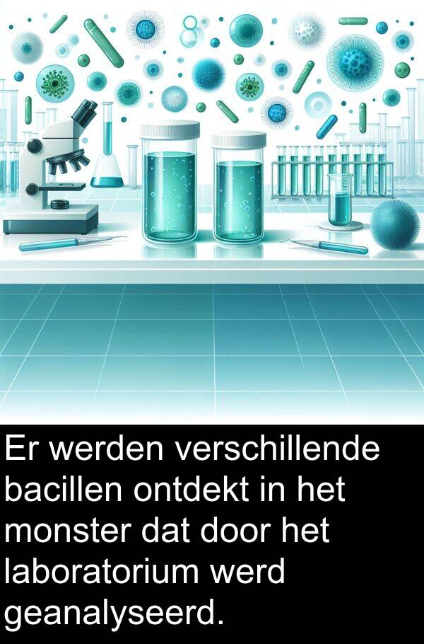 bacillen: Er werden verschillende bacillen ontdekt in het monster dat door het laboratorium werd geanalyseerd.