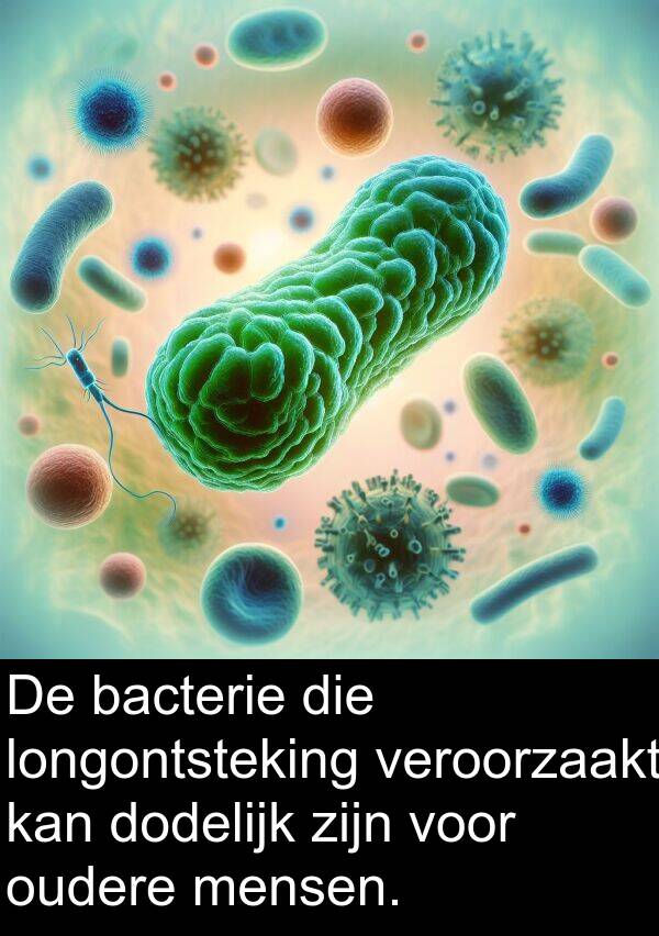 mensen: De bacterie die longontsteking veroorzaakt kan dodelijk zijn voor oudere mensen.