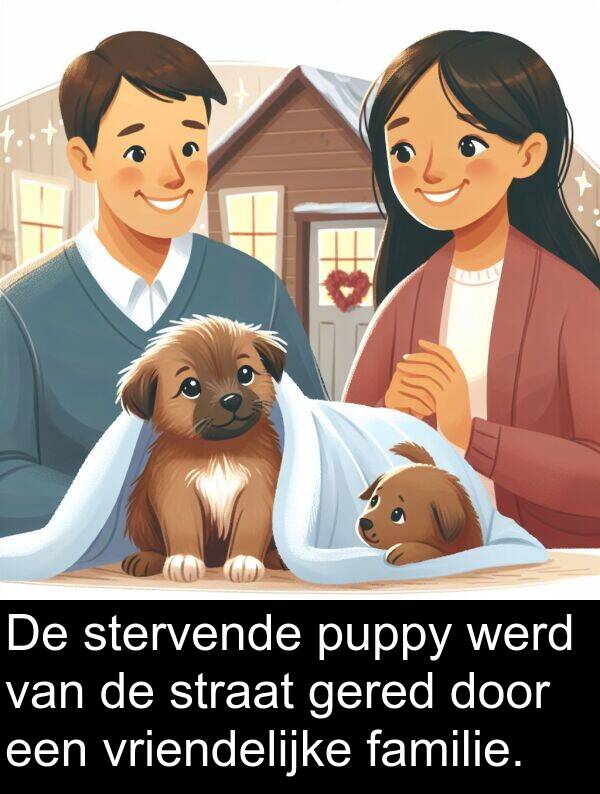 straat: De stervende puppy werd van de straat gered door een vriendelijke familie.