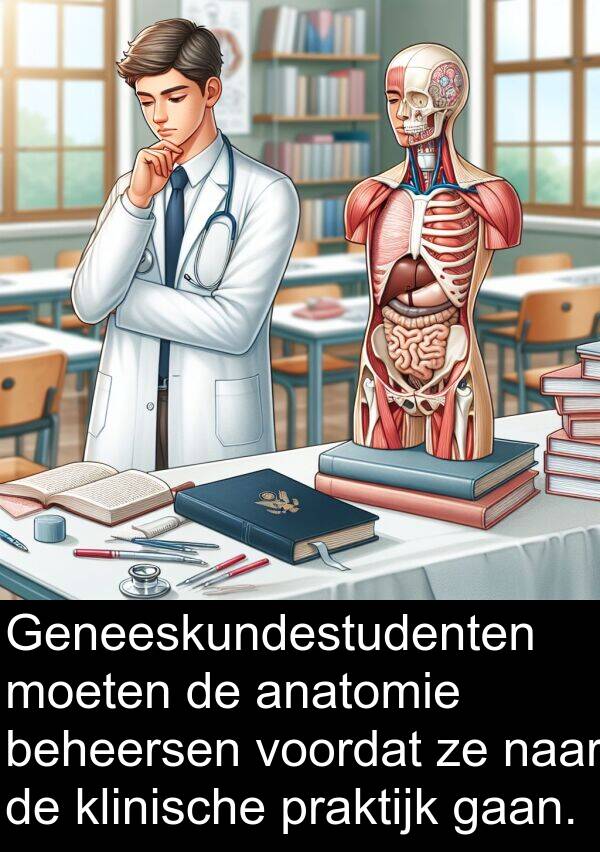 moeten: Geneeskundestudenten moeten de anatomie beheersen voordat ze naar de klinische praktijk gaan.