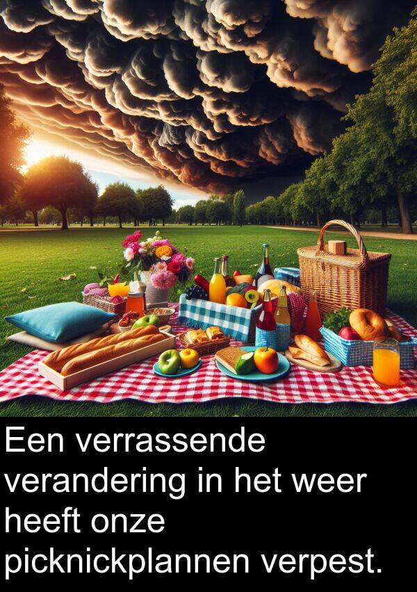 weer: Een verrassende verandering in het weer heeft onze picknickplannen verpest.
