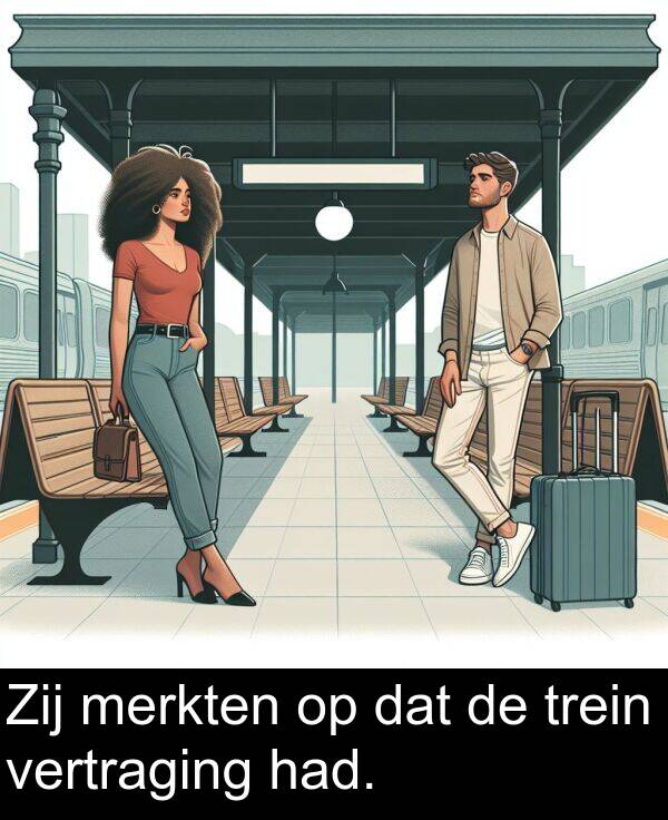 dat: Zij merkten op dat de trein vertraging had.
