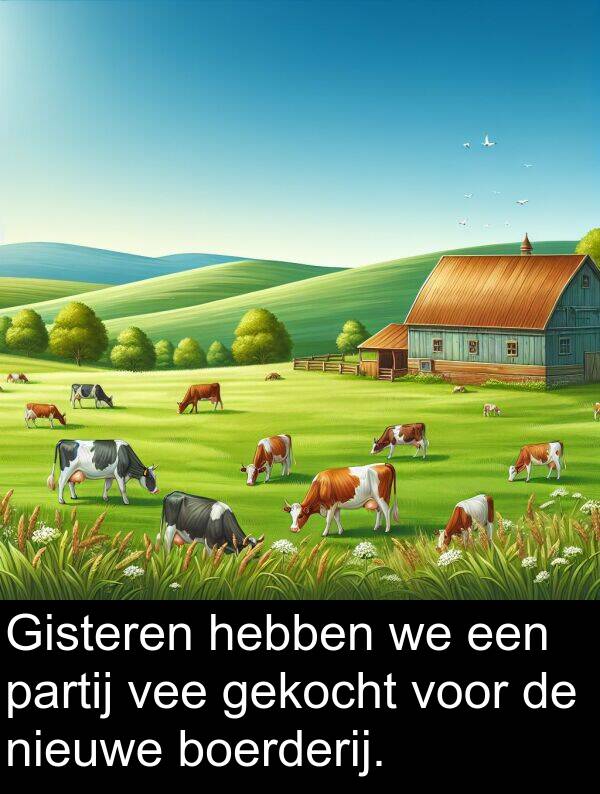 gekocht: Gisteren hebben we een partij vee gekocht voor de nieuwe boerderij.