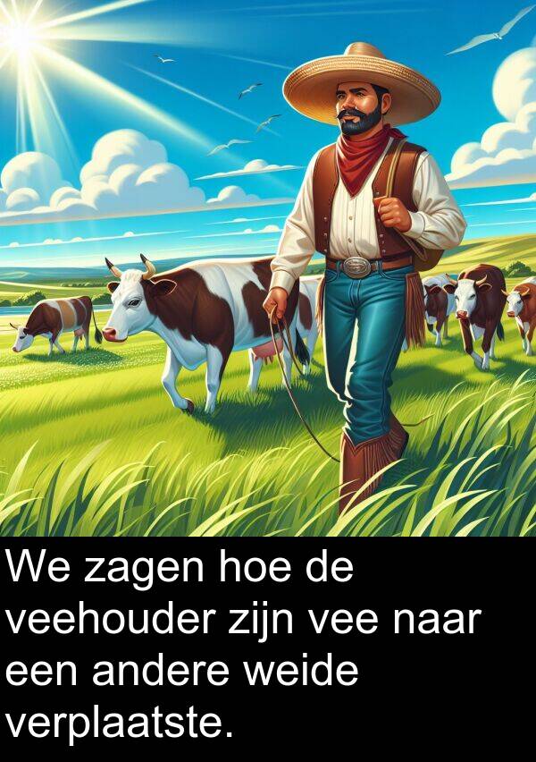 andere: We zagen hoe de veehouder zijn vee naar een andere weide verplaatste.