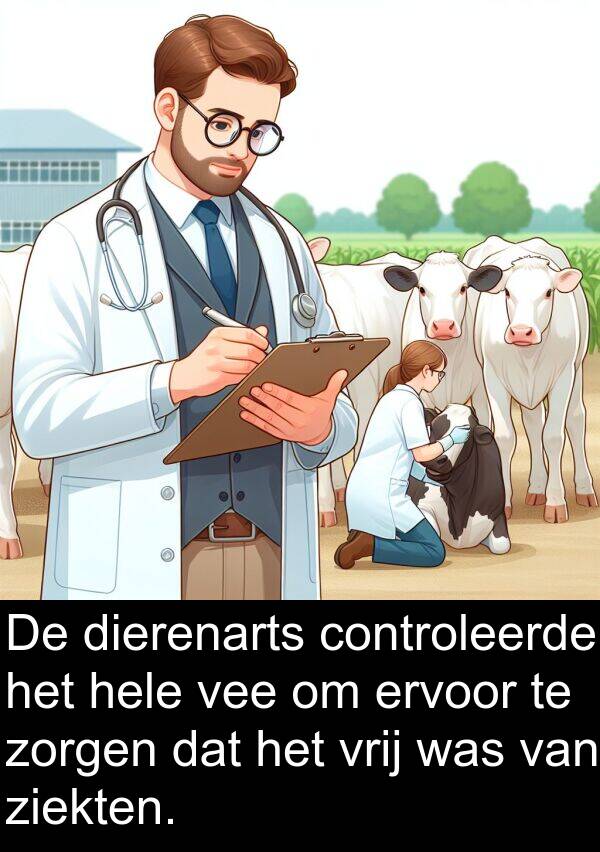 ziekten: De dierenarts controleerde het hele vee om ervoor te zorgen dat het vrij was van ziekten.