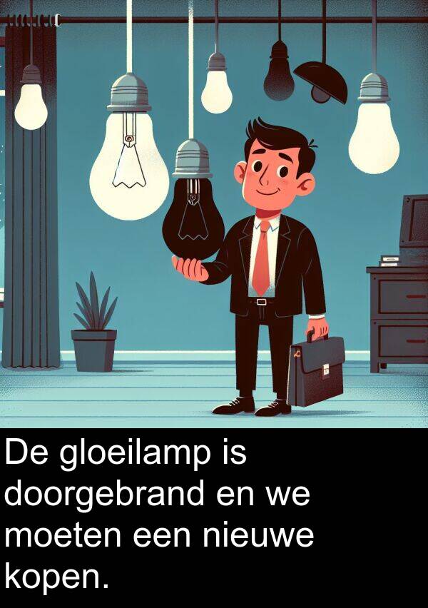 gloeilamp: De gloeilamp is doorgebrand en we moeten een nieuwe kopen.