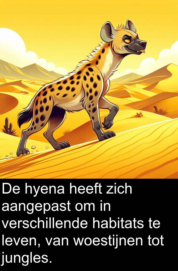 habitats: De hyena heeft zich aangepast om in verschillende habitats te leven, van woestijnen tot jungles.
