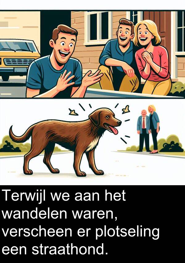 verscheen: Terwijl we aan het wandelen waren, verscheen er plotseling een straathond.
