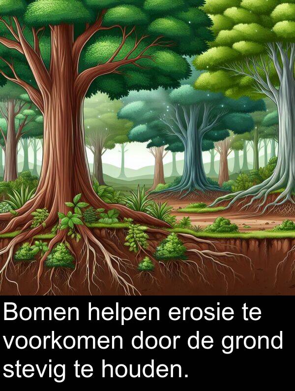 grond: Bomen helpen erosie te voorkomen door de grond stevig te houden.