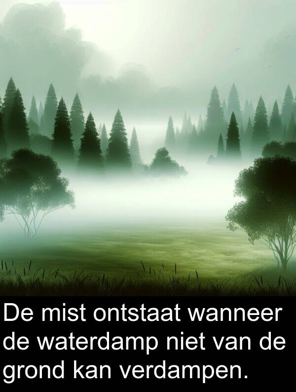 grond: De mist ontstaat wanneer de waterdamp niet van de grond kan verdampen.