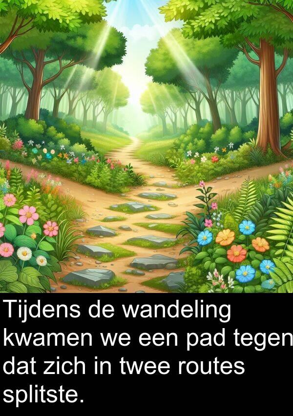 tegen: Tijdens de wandeling kwamen we een pad tegen dat zich in twee routes splitste.