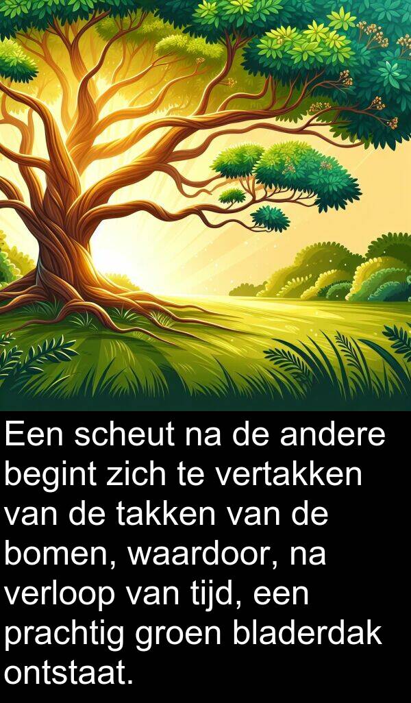 groen: Een scheut na de andere begint zich te vertakken van de takken van de bomen, waardoor, na verloop van tijd, een prachtig groen bladerdak ontstaat.