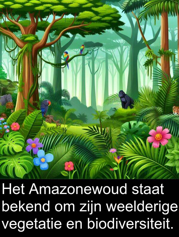 staat: Het Amazonewoud staat bekend om zijn weelderige vegetatie en biodiversiteit.