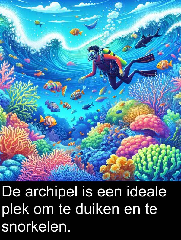 snorkelen: De archipel is een ideale plek om te duiken en te snorkelen.