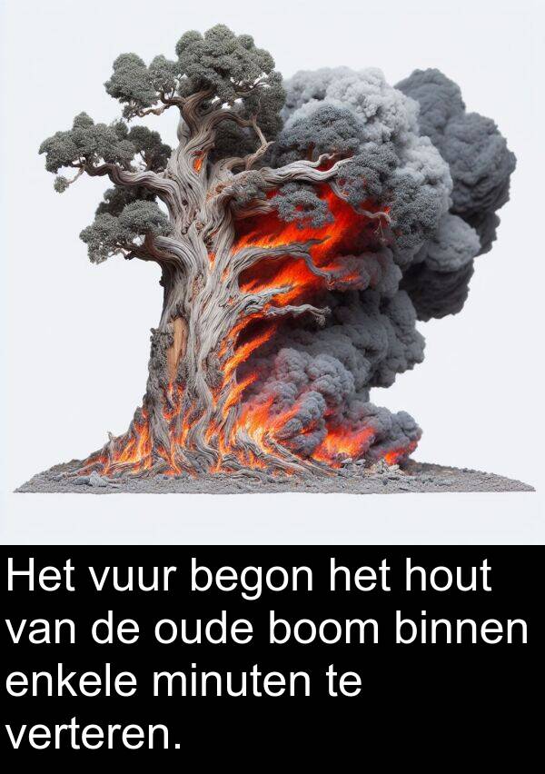 vuur: Het vuur begon het hout van de oude boom binnen enkele minuten te verteren.