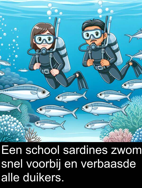 duikers: Een school sardines zwom snel voorbij en verbaasde alle duikers.