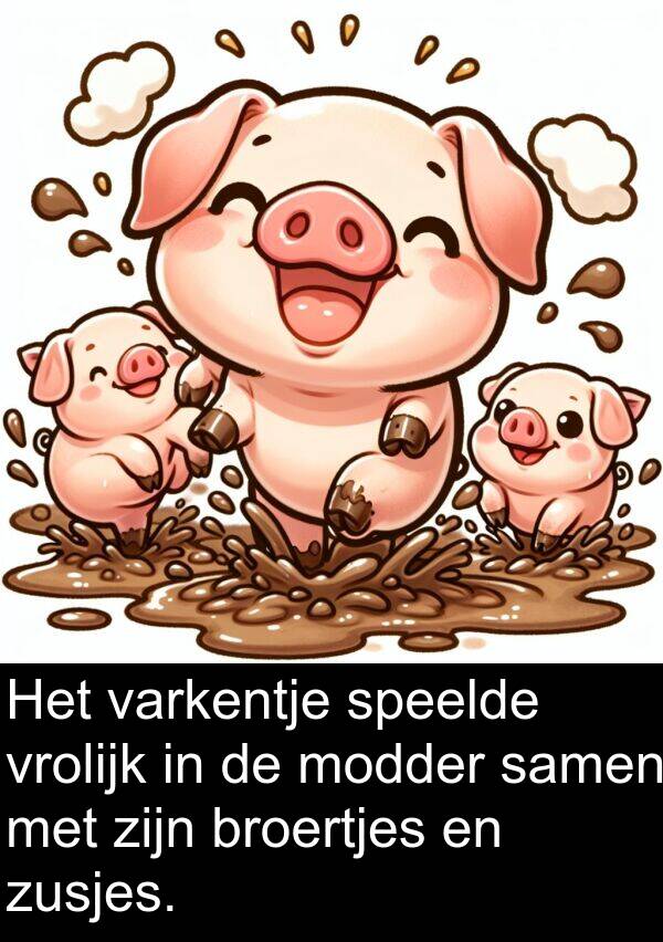 zusjes: Het varkentje speelde vrolijk in de modder samen met zijn broertjes en zusjes.