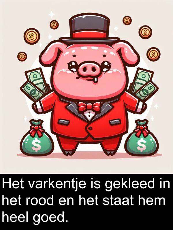 gekleed: Het varkentje is gekleed in het rood en het staat hem heel goed.