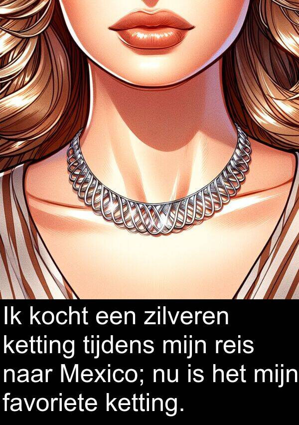 zilveren: Ik kocht een zilveren ketting tijdens mijn reis naar Mexico; nu is het mijn favoriete ketting.