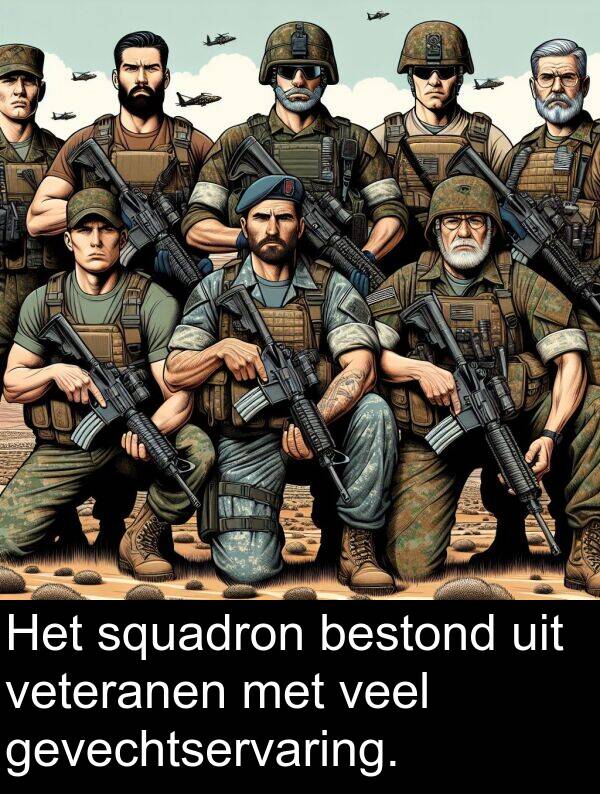gevechtservaring: Het squadron bestond uit veteranen met veel gevechtservaring.