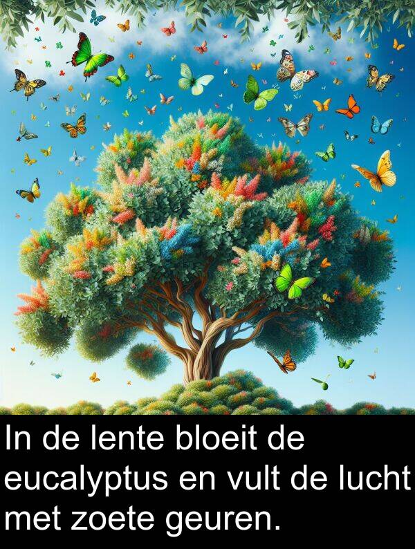 geuren: In de lente bloeit de eucalyptus en vult de lucht met zoete geuren.