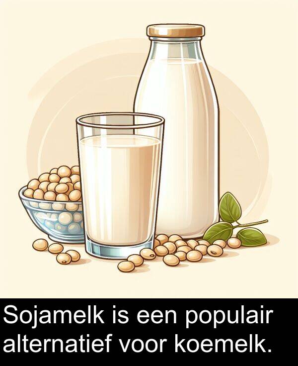populair: Sojamelk is een populair alternatief voor koemelk.