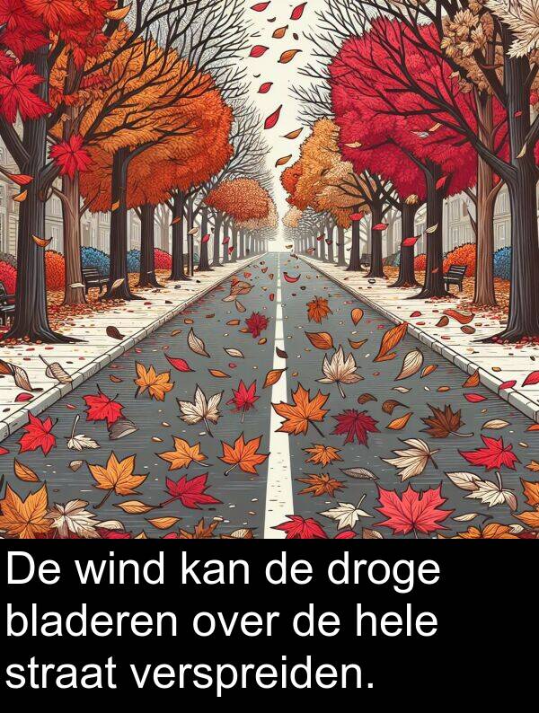 droge: De wind kan de droge bladeren over de hele straat verspreiden.