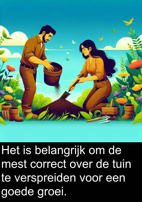 goede: Het is belangrijk om de mest correct over de tuin te verspreiden voor een goede groei.