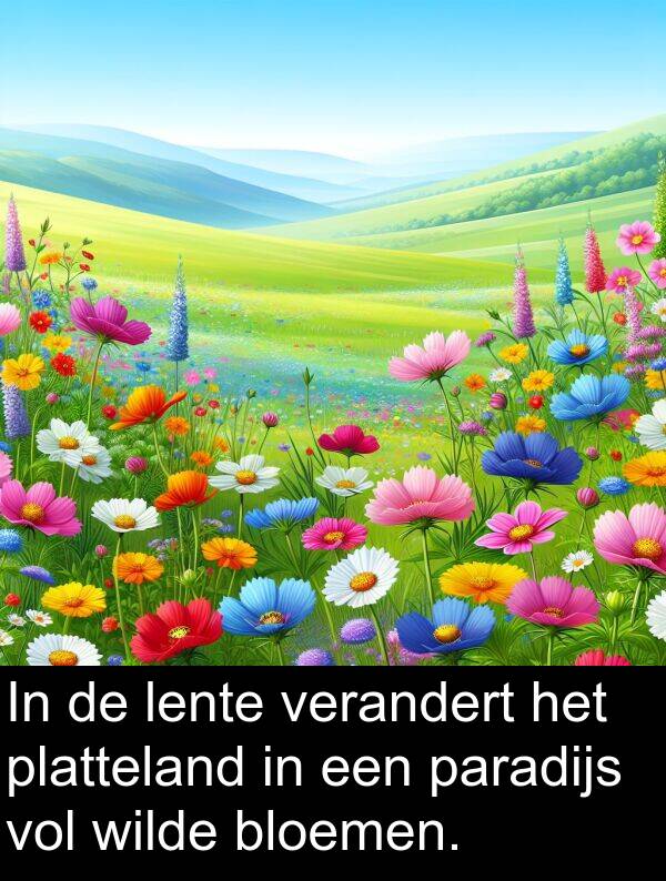 verandert: In de lente verandert het platteland in een paradijs vol wilde bloemen.